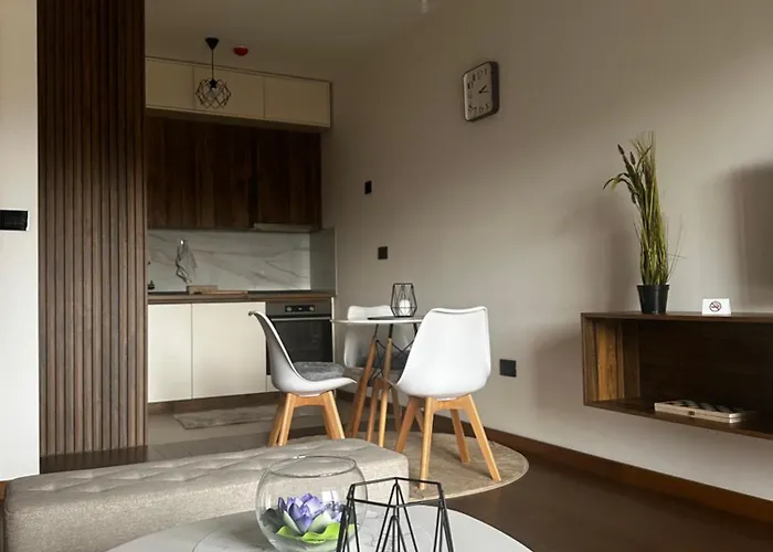 Apartment Hill Podgorica